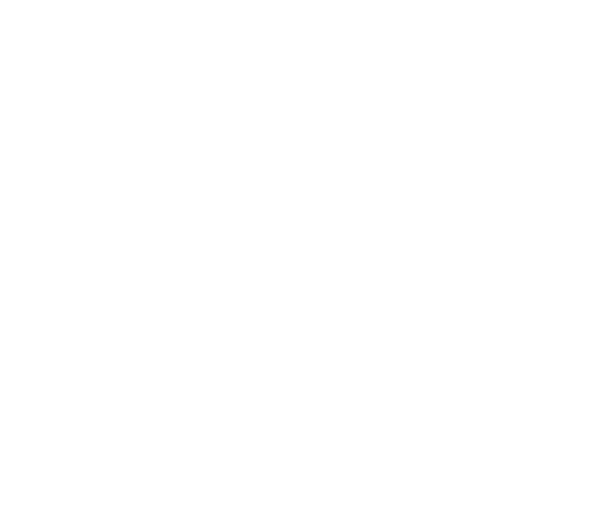 Four Reasons