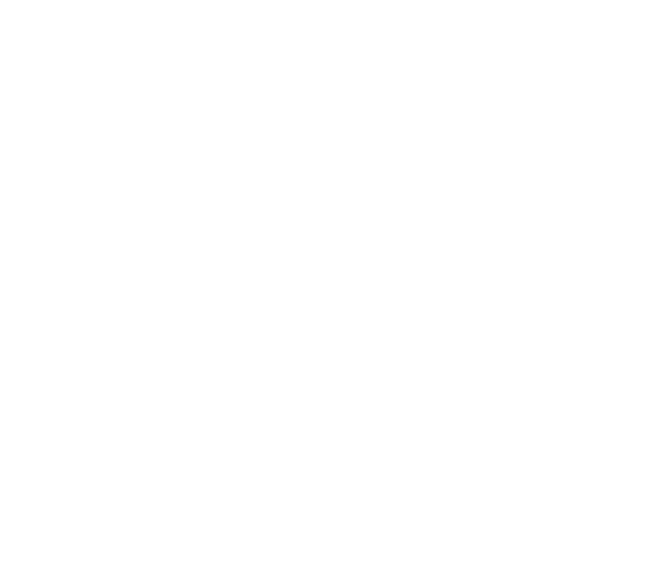 Kalaneuvos